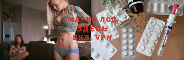 apvp Алзамай