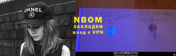 apvp Алзамай