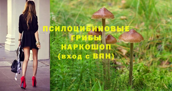 ALPHA-PVP Алексин