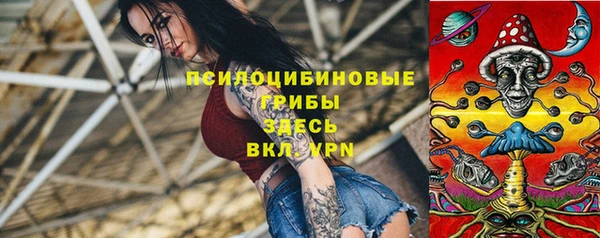 apvp Алзамай